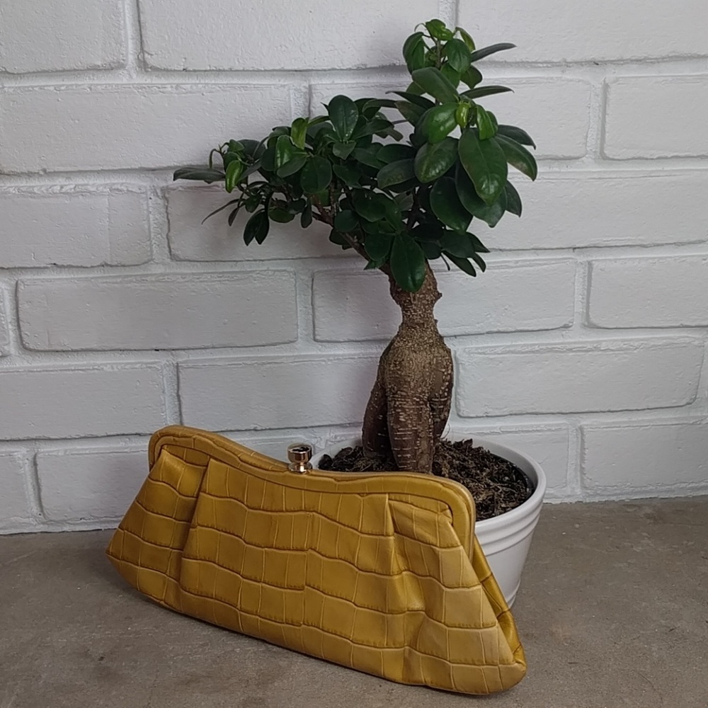 Banana Republic Clutch